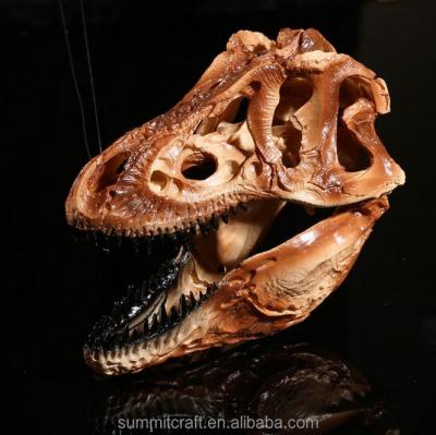 China Europe Resin Display Ancient Dinosaur Head Fossil for sale