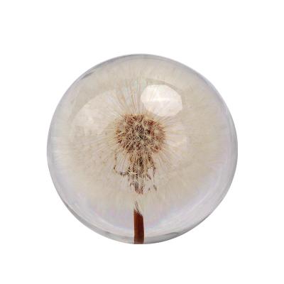 China Custom Real Dandelion Sphere Europe Shape Clear Resin Casting Paperweight for sale