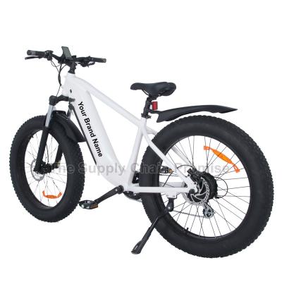 China Aluminum Alloy S-M8 Urban Electric Bicycle 500W26 Inch Electric Road Bicycle for sale