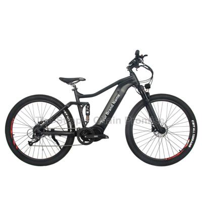 China Aluminum Alloy S-M6 Mid Mounted Electric Power Assisted Bicycle High Shock Mountain Bike Electric Power Assisted Bicycle for sale