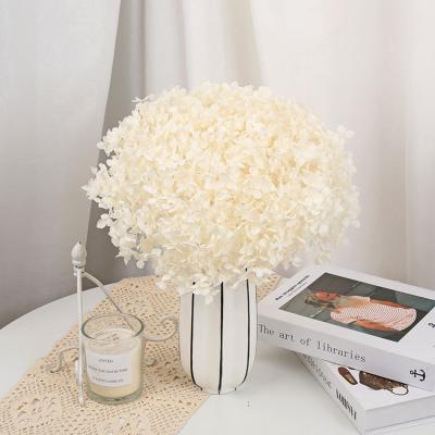 China Wedding high quality simple decotation factory supplies Anna preserved real dry stem flowers hydrangea for wedding decoration for sale