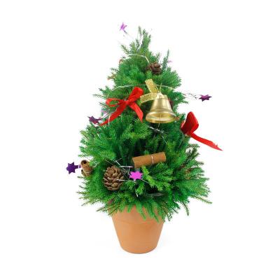 China Christmas Gifts and Home Decoration Factory provides high quality preserved flowers and plants Christmas trees ornaments for Christmas gifts and home decorations for sale