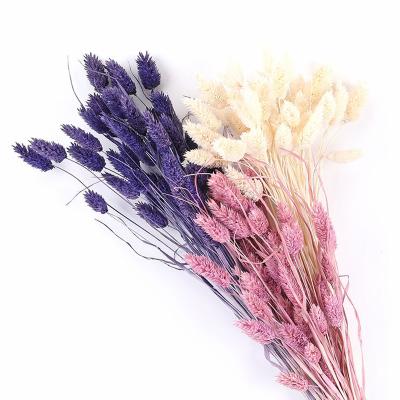 China Wedding Decoration Factory Sale Various Gem Grass Jewelry Natural Grass For Home Decoration for sale