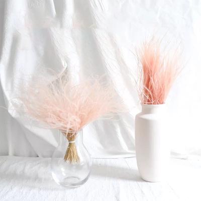 China Home decor factory wholesale dried flower bouquet natural feathery stipe for wedding decoration for sale