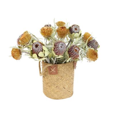 China 2022 Hot Selling Natural Dried Flower Arrangement Yunnan Banksia South Africa Small Pagoda For Home Decoration for sale