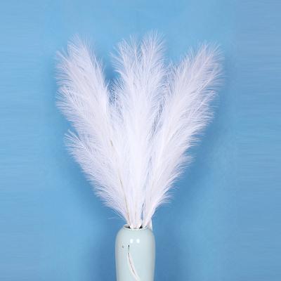 China Wedding decotation 2022 most popular large artificial pampas grass faux pampas grass pampas grass amazon grass for sale