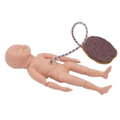 China Advanced Medical Care Teaching Educational Equipment Life Size Neonatal Umbilical Cord Newborn Placenta With Funicle And Baby Care Manikin Model for sale