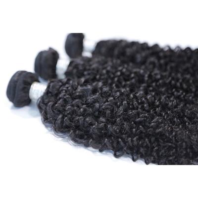 China No Tangle No Shedding Loose Afro Kinky Curly Tight Virgin Hair Wholesale for sale