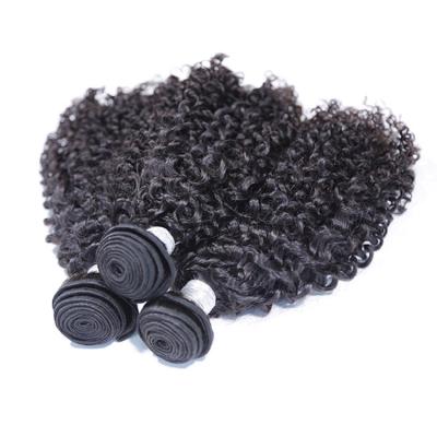 China No Tangle No 100 Grade 10A Pure Raw Unprocessed Virgin Hair Curly Shedding Wholesale for sale