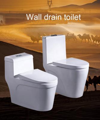 China Modern Wall Drainage Large Diameter Toilet Household Sit Straight Toilet Washdown Toilet Deodorizer Row Toilet for sale