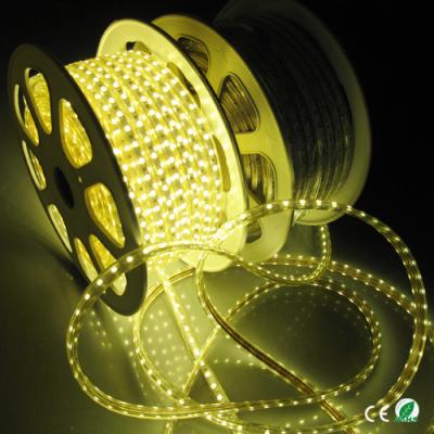 Κίνα Το φως θερμά άσπρα 60 Leds λουρίδων των οδηγήσεων υψηλής τάσης Dimmable ανά μετρητή στεγανοποιεί 5050 προς πώληση