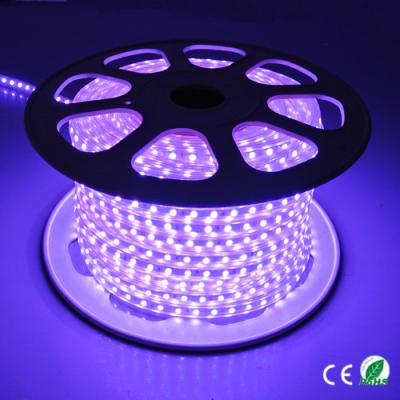 Κίνα 220V σχοινί ελαφρύ 60 Leds των πολυ οδηγήσεων χρώματος υψηλής τάσης/μετρητής εύκολος να εγκαταστήσει προς πώληση