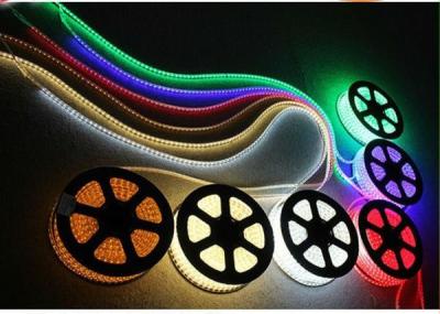 Cina Luce di striscia Driverless di alta tensione LED di RGB, colore pieno di RoHS che cambia la striscia del LED in vendita