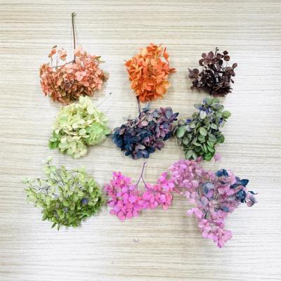 China Flower accessory for DIY preserved hydrangea small leaf real touch hydrangea dried hydrangeas for DIY flower for sale