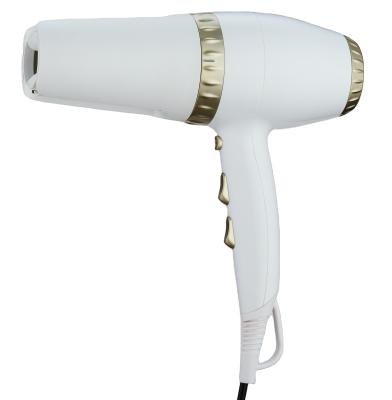 China Professional Ionic Twist 2-in-1 Hair Dryer And Hair Straightener for sale