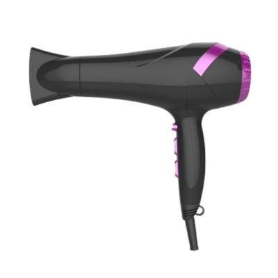 China 2020 ionic the best hair dryer the best sale professional hair dryer promotion market for sale