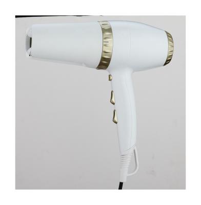 China Ionic Promotional Product Good Quality Popular Salon Home Electric Hair Dryer for sale