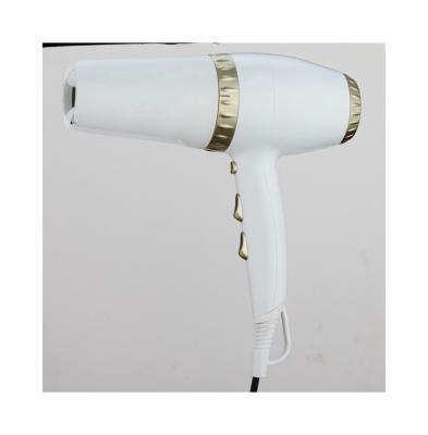 China Ionic High Quality Durable Using Various Popular Product Plastic Profesional Custom Hair Dryer for sale