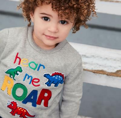 China Dinosar Sustainable Rhinoceros Embroidery Quality Cotton Kids Animal Sweater for sale