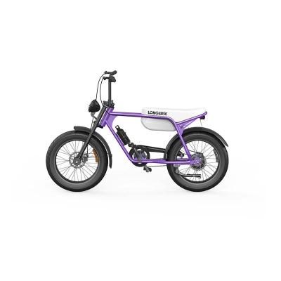 China Custom fat ebike 800w 1000w e tire adults city steel electric bike sport off road electric bike for sale