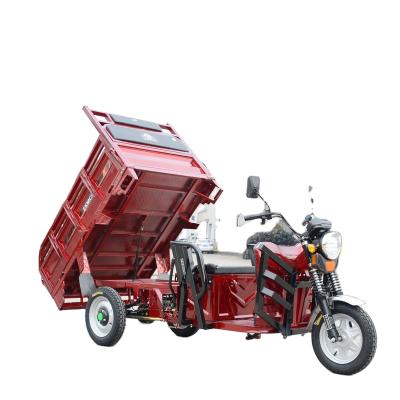 China 2021 Best Safety and Popular 60V 1000W Electric Tricycle for Cargo Max Body Trip Power for sale