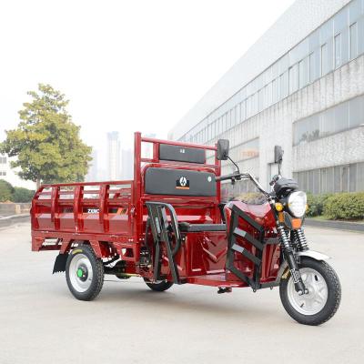 China China Electric Adult Tricycle electric three wheeler cargo 1000W EEC electric trike scooter Cargo bike for sale