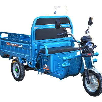 China China electric three wheeler cargo 1000W electric trike scooter Cargo bike for sale