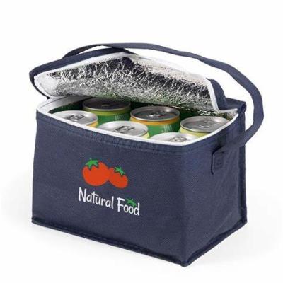 中国 Outdoor Portable Insulated Thermal Bags Bulk Keep Your Refreshments Cool 販売のため