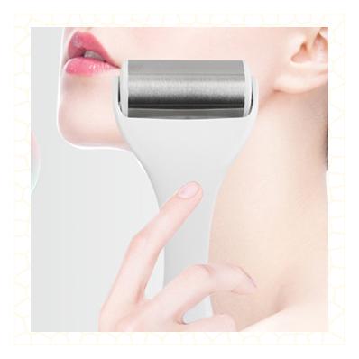 China Plastic Anti-Puffiness ODM Dual Massager & OEM Face Massager ICE Roller For Global Market for sale