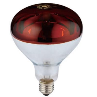 China 230V Reptile Breeding Bulb Lampshade en estilo de diseño moderno para roasted red en venta