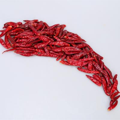 China Wholesale Natural Cheap Price Dried Chilli Pepper Malaysia Red Chilli Whole for sale