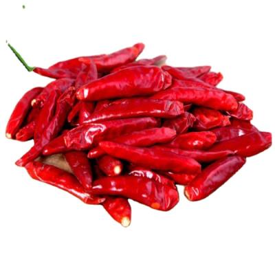 China Good Quality Wholesale Dried Chilli Pepper Dry Red Chilli Peppers for sale