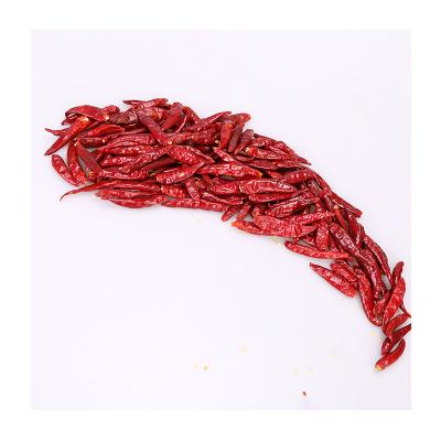 China Natural high quality hot selling kashmiri chillies factory sale red chillies in malaysia for sale