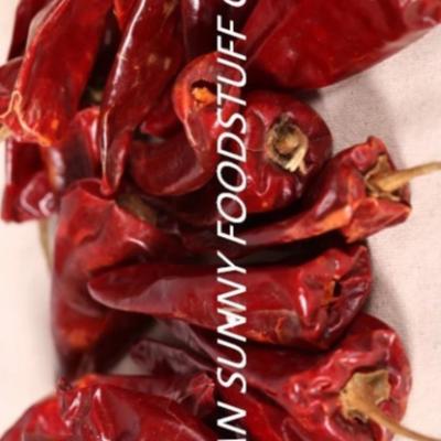 China Dry 2020 Food Grade Cheap Price Pepper Powders Dried Sweet Chilli Paprika Powder for sale