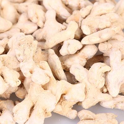 China Dry Cooking Use High Quality Dried Flavor Spice Ginger Pungent Ginger Whole for sale