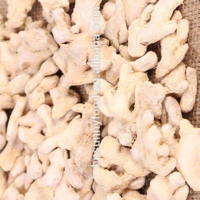 China DRIED WHOLE DRIED GINGER for sale