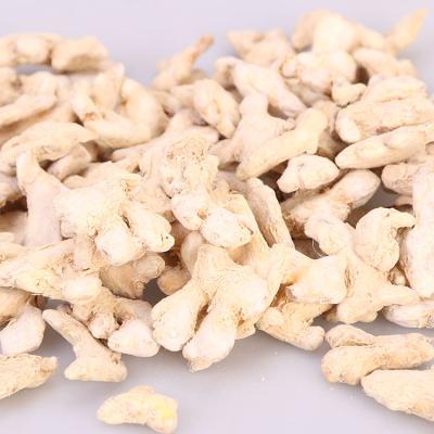 China 2020 whole thailand sale good quality dry ginger dry hot ginger for sale