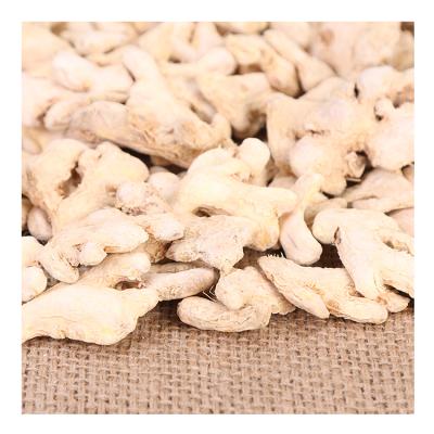 China Wholesale China High Quality Dry Ginger Hot Selling Organic Fresh Ginger for sale