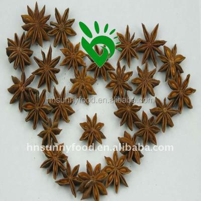 China High Quality Dry Star Dry Anise Factory Supplier from Guangxi for sale