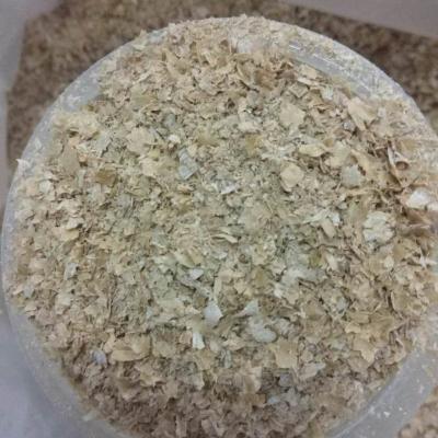 China Fodder high quality healthy wheat bran for animal feed /fodder maker for sale