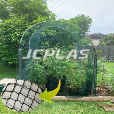 China Garden Protection Netting HDPE Knitted Anti-bird Net Dark Green Universal Used In Agriculture for sale