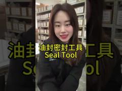 Seals Tool