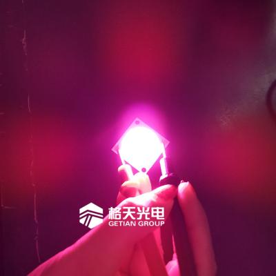 China Horticulture Lighting Full Spectrum 400-800nm ​​Plant Grow Chip Cob 30w 50w 100w Horticulture Led Lighting for sale