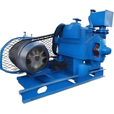 Κίνα Rotor Diameter 300-1480mm Water Ring Vacuum Pump for High Temperature Environments προς πώληση