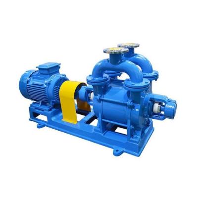 Κίνα 380V 2BV Series Water Ring Vacuum Pump with Rotor Diameter 300-1480mm προς πώληση