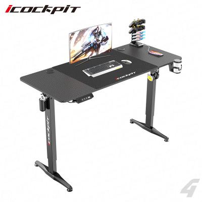 China OEM Adjustable Custom Height RGB Logo Sit Stand Electric Desk Mesa (Height) Icockpit Gamer 74-119Cm for sale