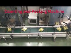 Counting and Packing Machine