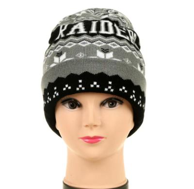 China COMMON Novelty Winter High Quality Warm Knitted Jacquard Beanie For Promotional for sale