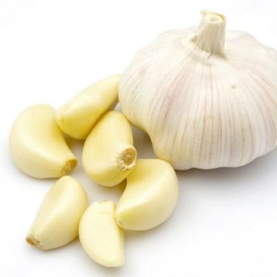 China Fresh new culture fresh garlic peeled natural garlic for wholesale with low price in China for sale