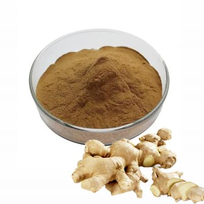 China 100% Natural High Quality Dry Ginger Extract Powder Ginger Root Extract Ginger Extract for sale